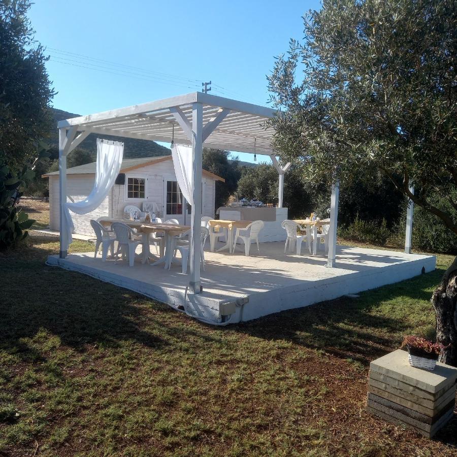 B&B Gli Ulivi SantʼAnna Arresi Exterior foto